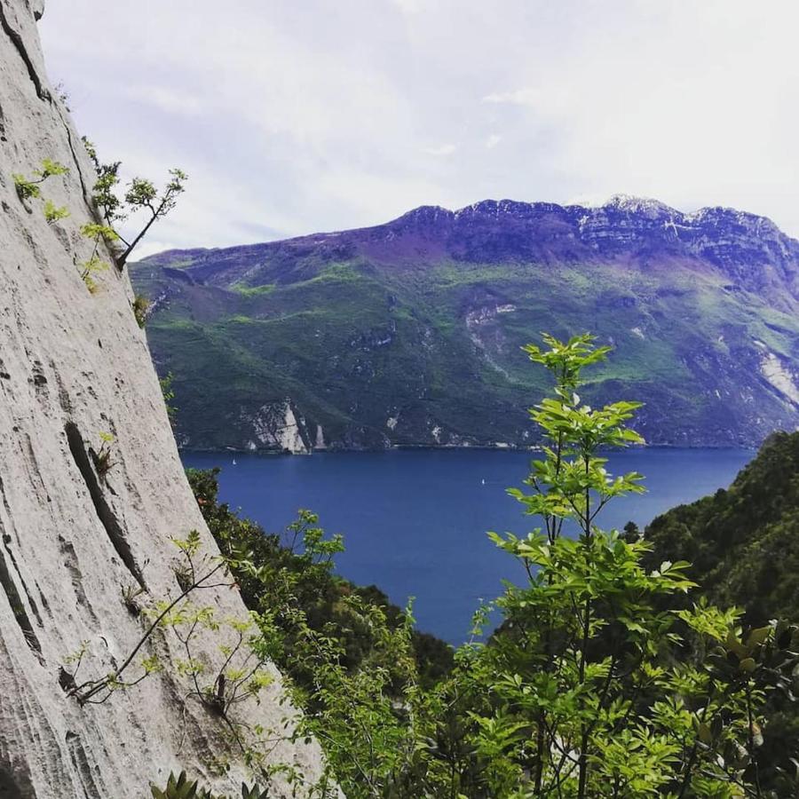 Appartamento Olea Arco Eksteriør billede